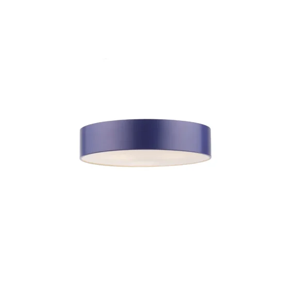 CL252-3-Purple