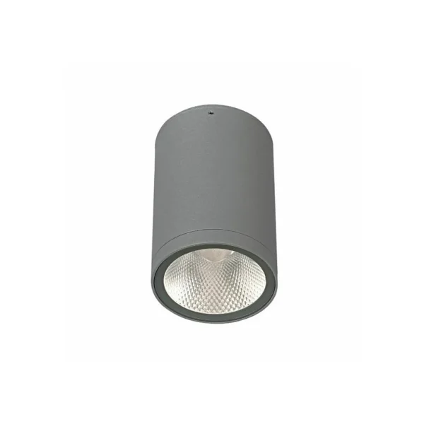 CDR06077