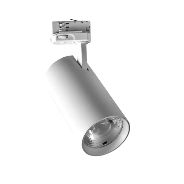 Šinski reflektor LED TLJ08030 bijela
