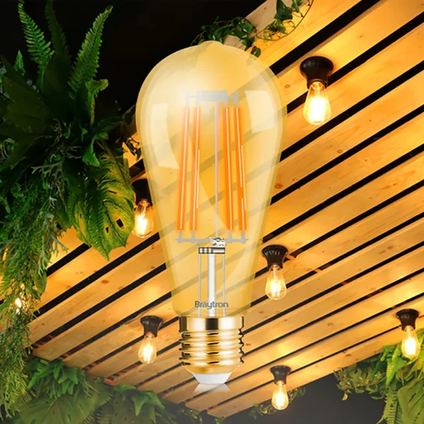 LED Žarulja E27 Filament ST64 6W