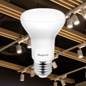 LED Žarulja E27 R63 9W