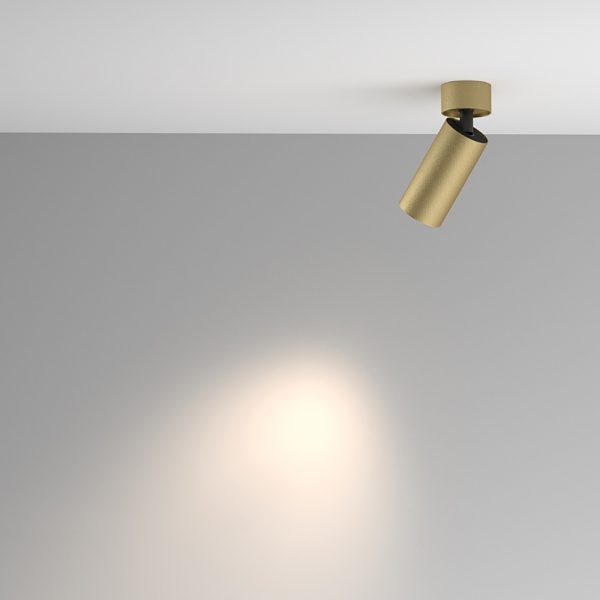 Stropna lampa Artisan