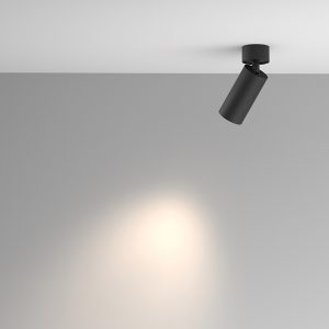 Stropna lampa Artisan