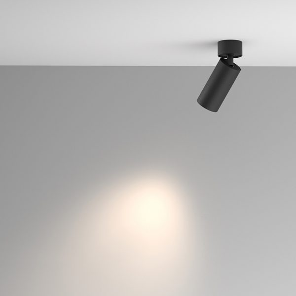 Stropna lampa Artisan